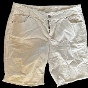 Lane Bryant white jean shorts